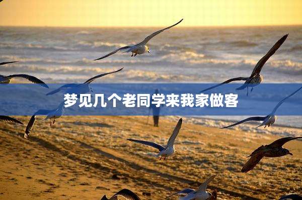 梦见几个老同学来我家做客