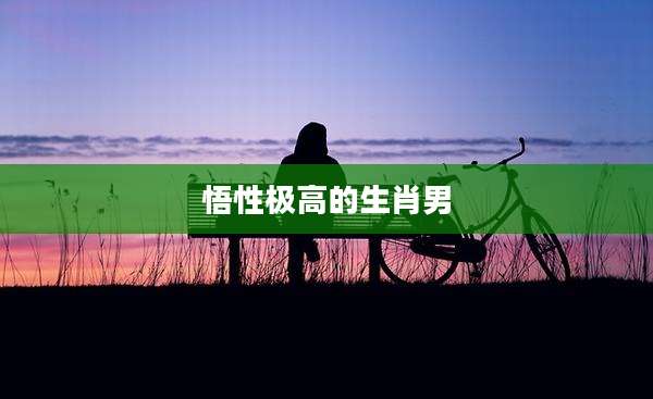 悟性极高的生肖男