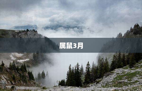 属鼠3月
