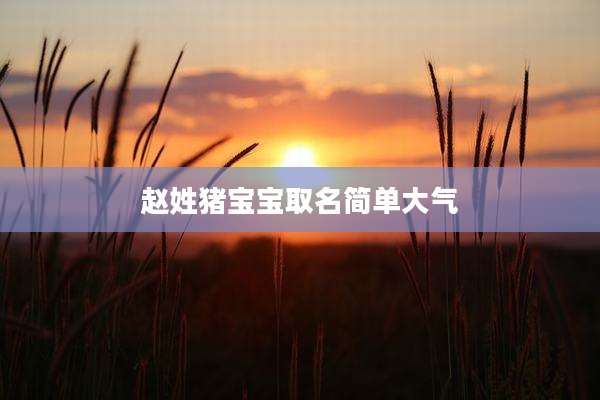 赵姓猪宝宝取名简单大气