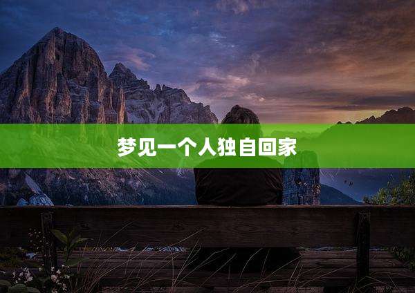 梦见一个人独自回家