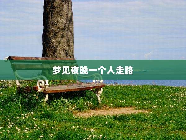 梦见夜晚一个人走路