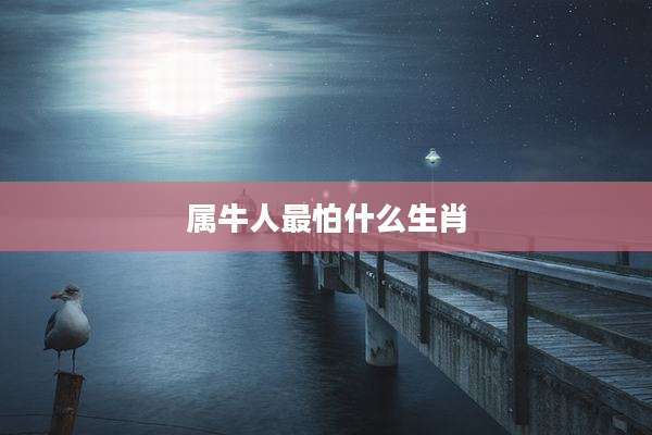 属牛人最怕什么生肖