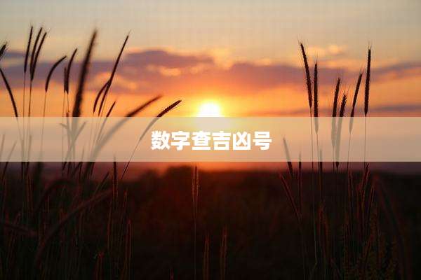 数字查吉凶号