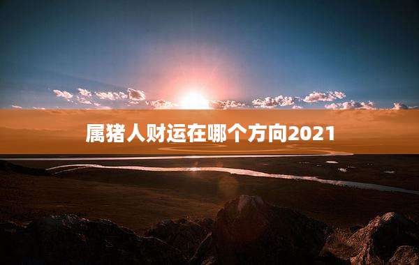 属猪人财运在哪个方向2021