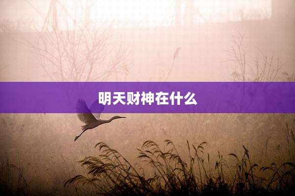 明天财神在什么