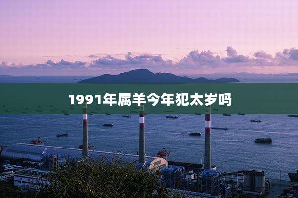 1991年属羊今年犯太岁吗