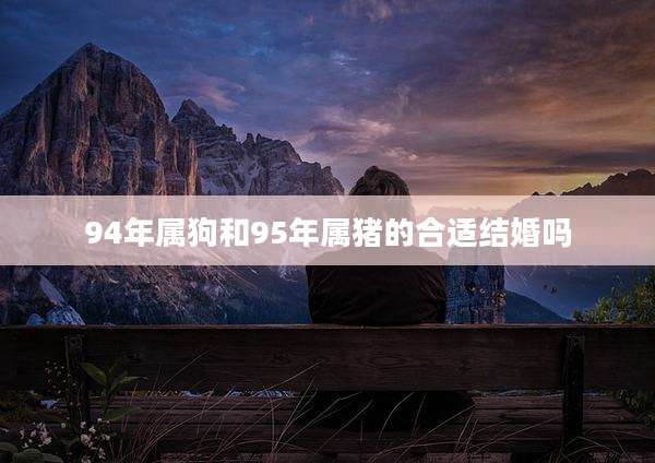 94年属狗和95年属猪的合适结婚吗