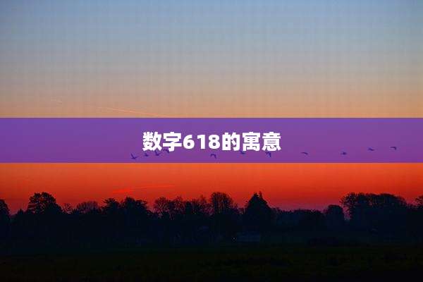 数字618的寓意