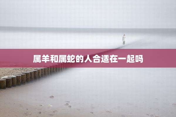属羊和属蛇的人合适在一起吗