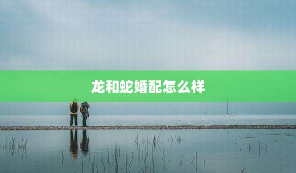 龙和蛇婚配怎么样