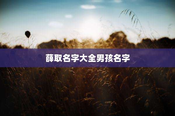 薛取名字大全男孩名字