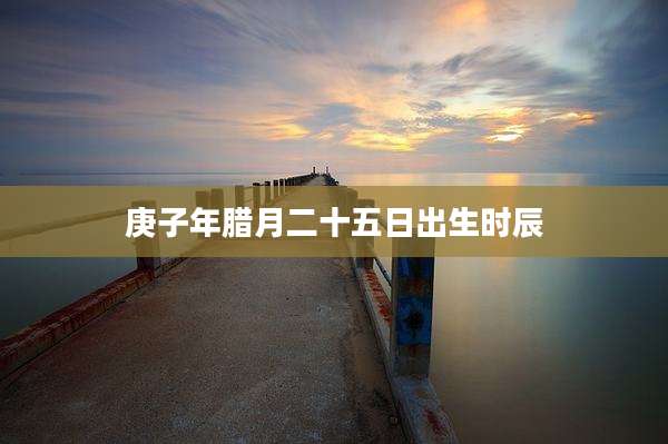 庚子年腊月二十五日出生时辰