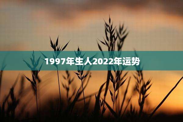 1997年生人2022年运势