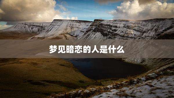 梦见暗恋的人是什么