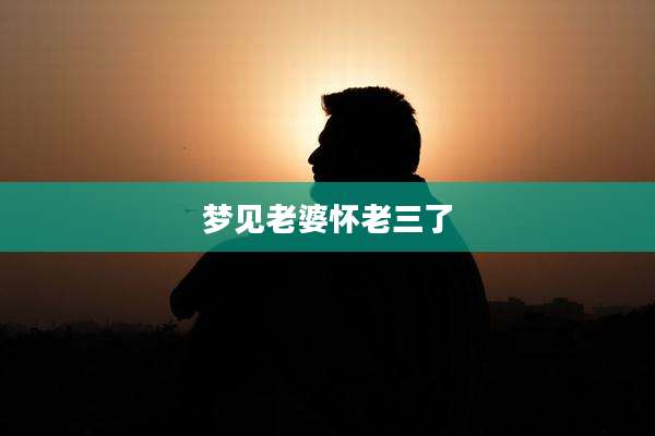 梦见老婆怀老三了