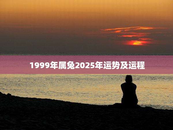 1999年属兔2025年运势及运程