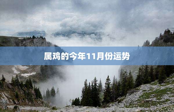 属鸡的今年11月份运势