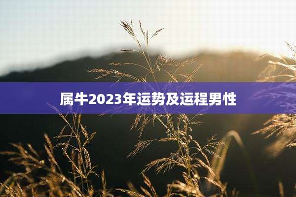 属牛2023年运势及运程男性