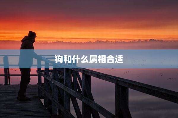 狗和什么属相合适