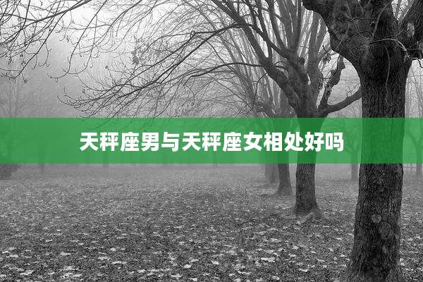 天秤座男与天秤座女相处好吗