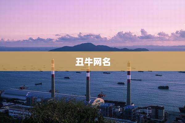 丑牛网名