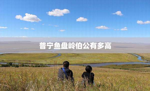 普宁鱼盘岭伯公有多高