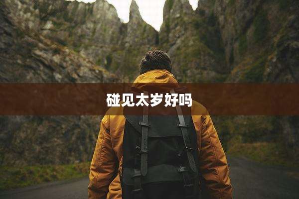 碰见太岁好吗