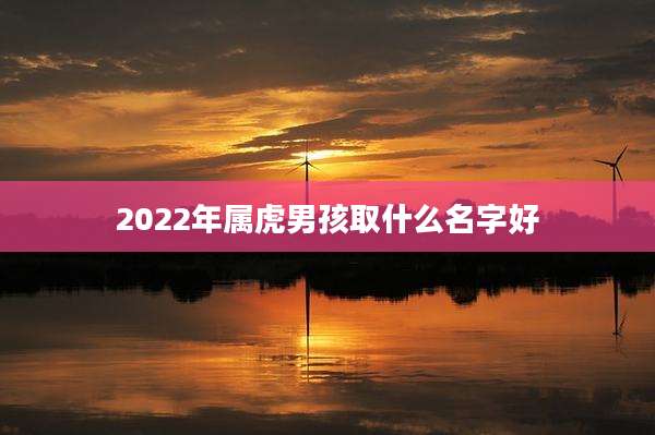2022年属虎男孩取什么名字好