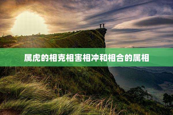 属虎的相克相害相冲和相合的属相