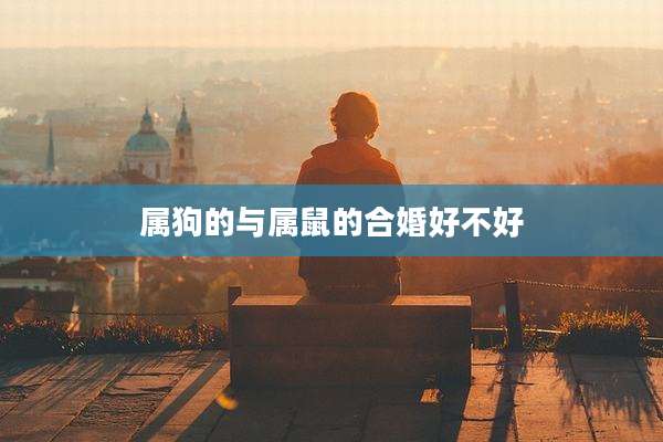 属狗的与属鼠的合婚好不好
