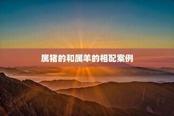 属猪的和属羊的相配案例