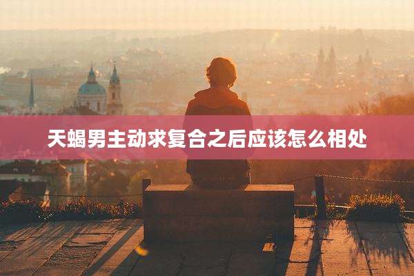 天蝎男主动求复合之后应该怎么相处