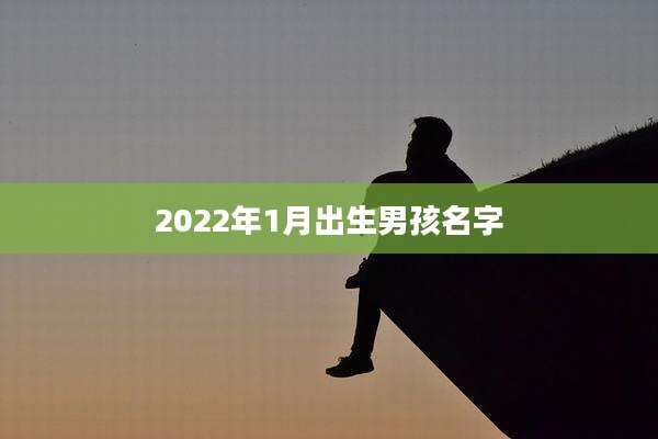 2022年1月出生男孩名字