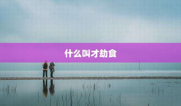 什么叫才劫食