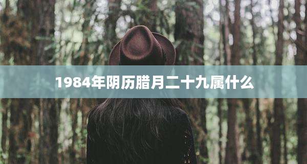 1984年阴历腊月二十九属什么