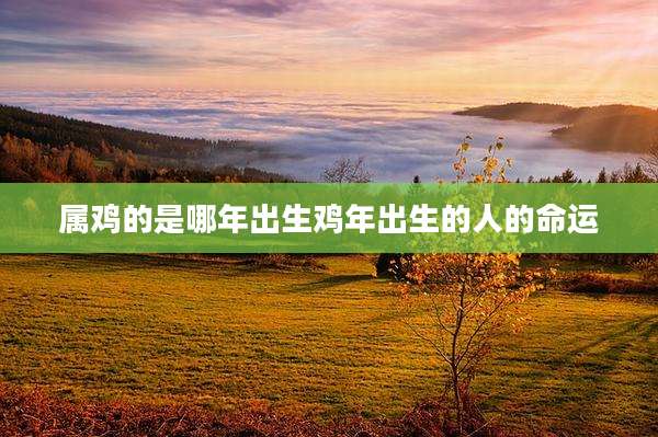 属鸡的是哪年出生鸡年出生的人的命运