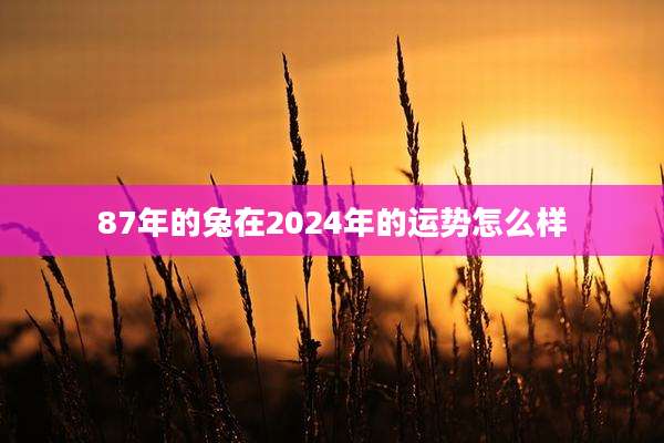 87年的兔在2024年的运势怎么样
