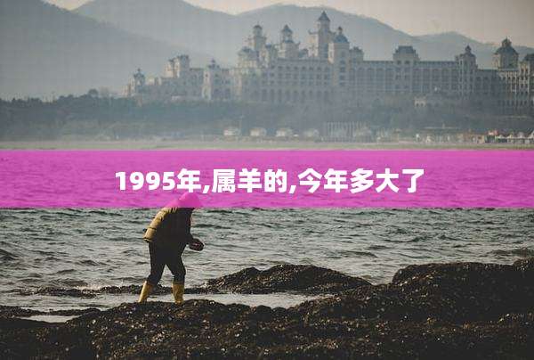 1995年,属羊的,今年多大了