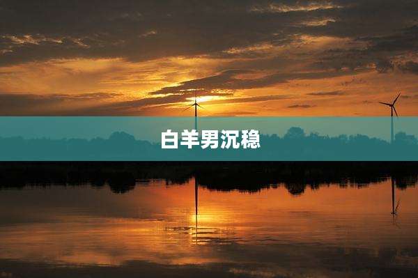 白羊男沉稳