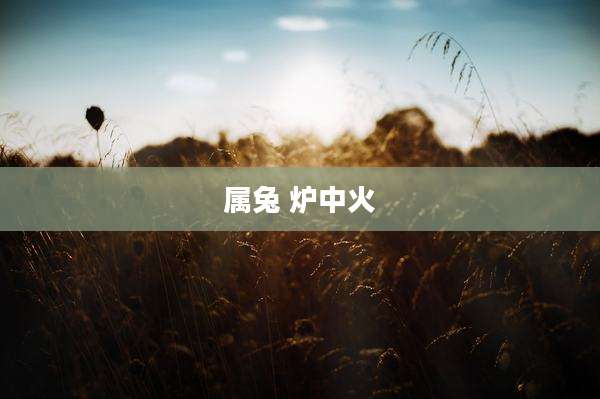 属兔 炉中火