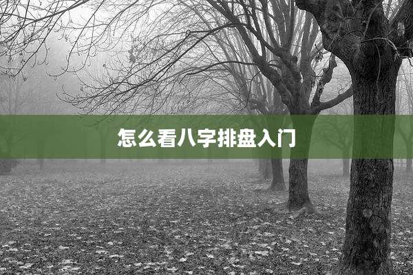 怎么看八字排盘入门