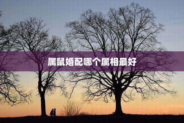 属鼠婚配哪个属相最好