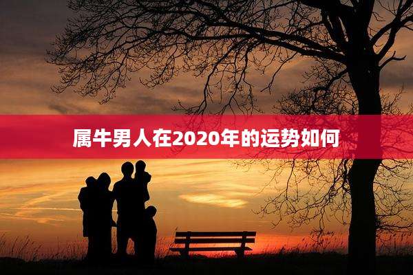 属牛男人在2020年的运势如何