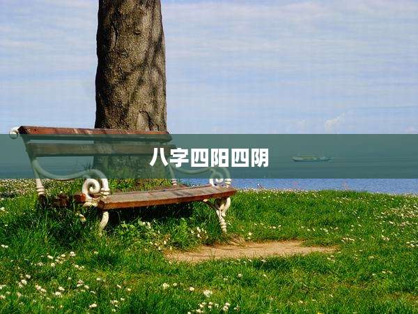 八字四阳四阴