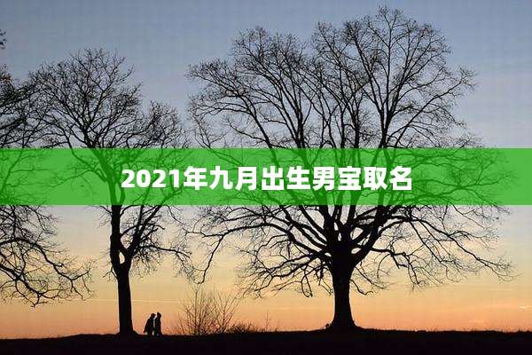 2021年九月出生男宝取名