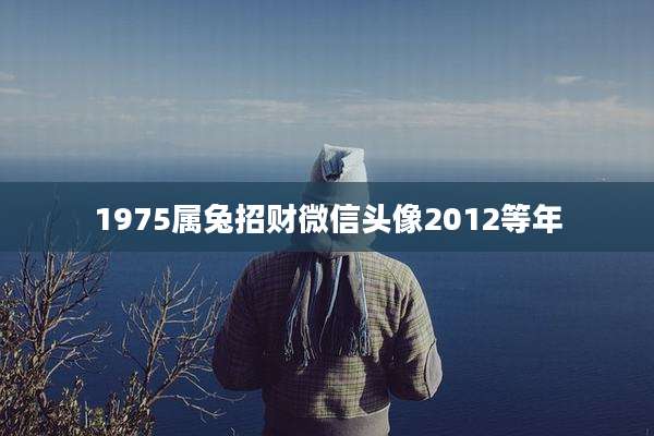 1975属兔招财微信头像2012等年