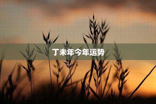 丁未年今年运势