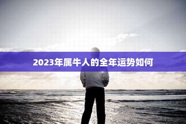 2023年属牛人的全年运势如何