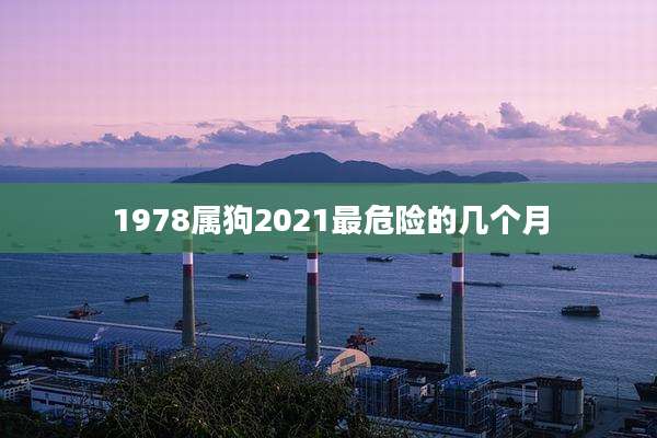 1978属狗2021最危险的几个月
